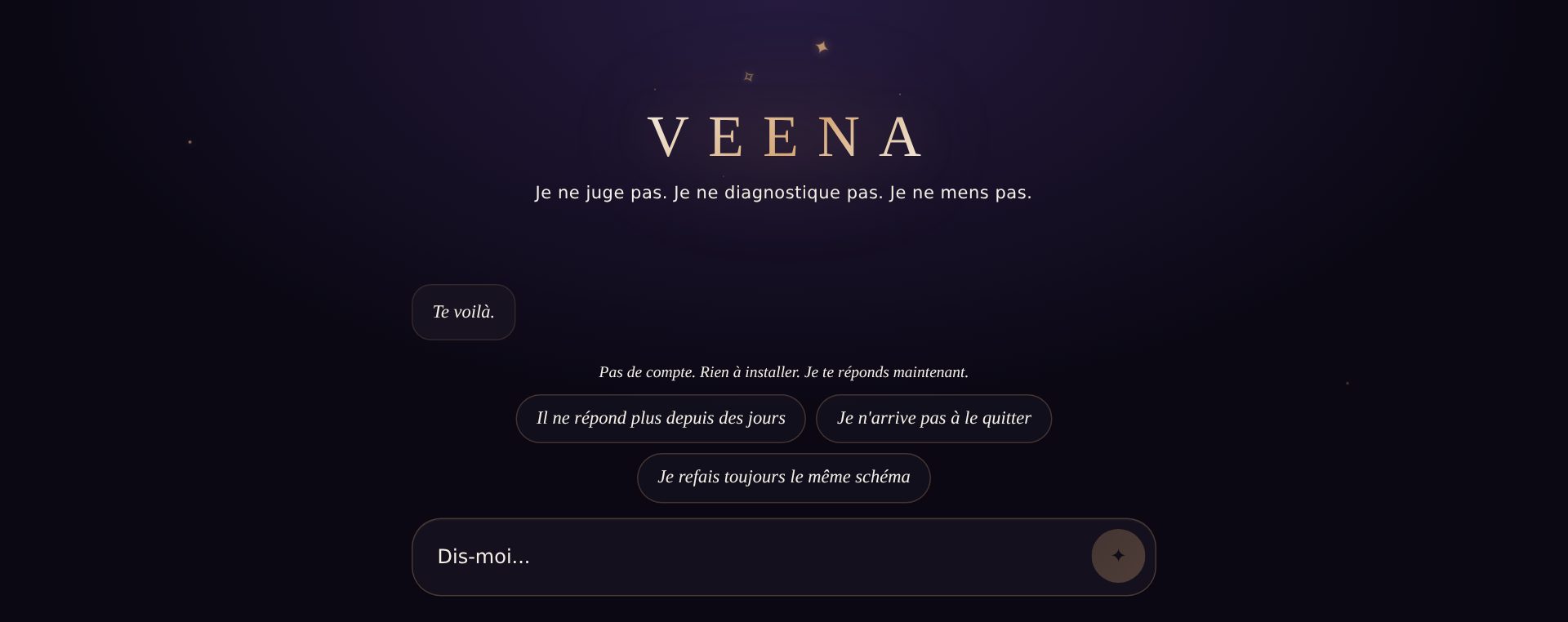 Interface de l’application de conversation Veena